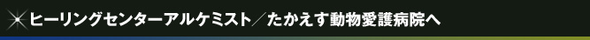 ヒーリングセンターアルケミスト／たかえす動物愛護病院へ