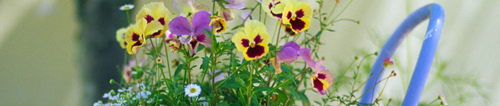 20110222-1.jpg