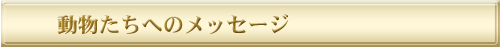 20110314_05.jpg
