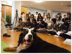 index_image_2%5B1%5D.jpg