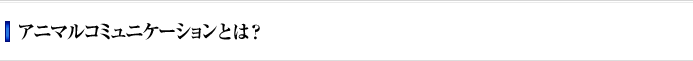 アニマルコミュニケーションとは？