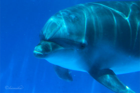 20110526_1.jpg