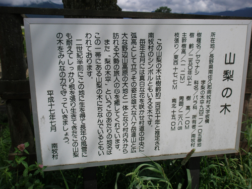 20111003-2.jpg