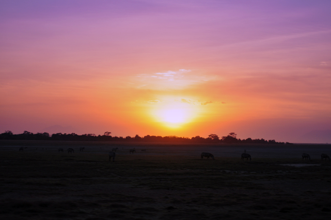 amboseli01.jpg