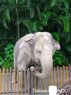 australia_zoo-1.jpg