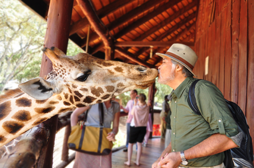 giraffe_kiss.jpg