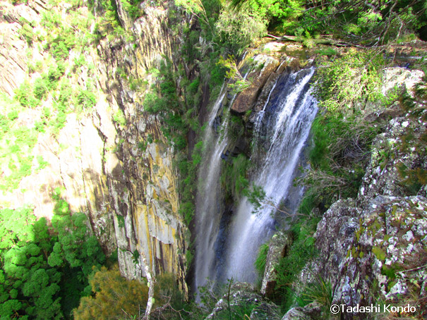 minyonfalls_1.jpg