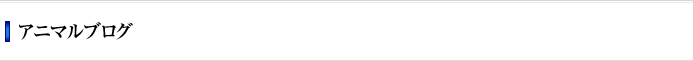 アニマルブログ