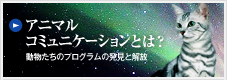アニマルコミュニケーションとは？ 動物たちのプログラムの発見と解放
