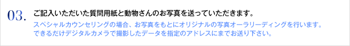 03. ご記入いただいた質問用紙と動物さんのお写真を送っていただきます。
スペシャルカウンセリングの場合、お写真をもとにオリジナルの写真オーラリーディングを行います。できるだけデジタルカメラで撮影したデータを指定のアドレスにまでお送り下さい。