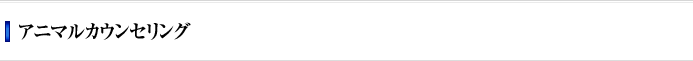 アニマルカウンセリング