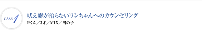 Case1 吠え癖が治らないワンちゃんへのカウンセリング | Rくん　3才　MIX　男の子