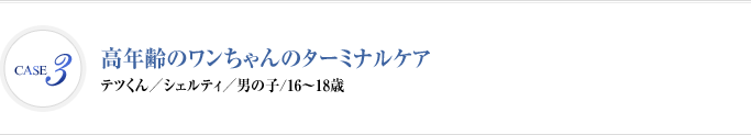 Case3 高年齢のワンちゃんのターミナルケア | テツくん　シェルティ　男の子　16～18歳