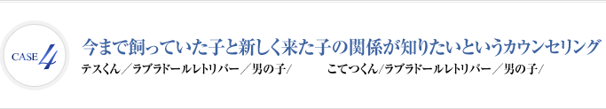 Case4 今まで飼っていた子と新しく来た子の関係が知りたいというカウンセリング | テスくん　ラブラドールレトリバー　男の子 ／ こてつくん　ラブラドールレトリバー