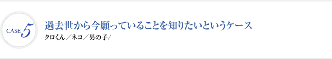 Case5 過去世から今願っていることを知りたいというケース | クロくん　ネコ　男の子