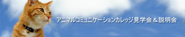 20110408-01.jpg