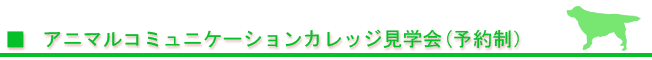 20110408-02.gif