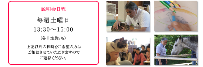 20110408-2-02.jpg