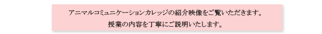 20110408-2-03.gif