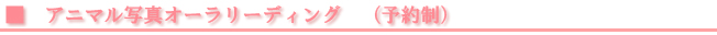 bar-2.jpg