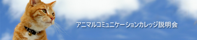 kengaku-1.jpg