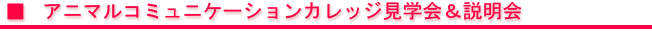 kengaku-2.gif