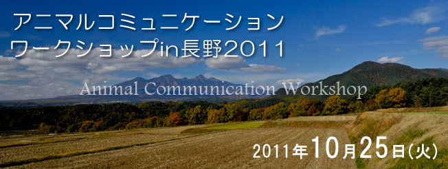 nagano2011-05.jpg