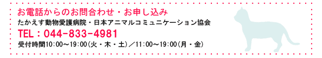 toiawase.gif