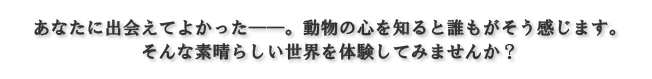 top-2.jpg