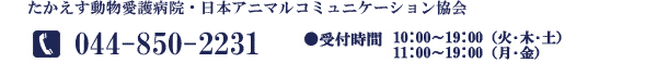 yoyaku-toiawase-animal.gif