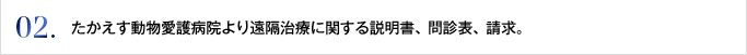 02. たかえす動物愛護病院より遠隔治療に関する説明書、問診表、請求。