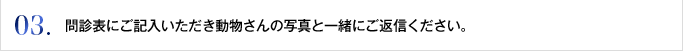 03. 問診表にご記入いただき動物さんの写真と一緒にご返信ください。