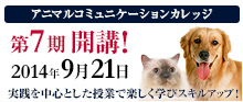アルケミストヒーリングカレッジ　無料体験＆説明会